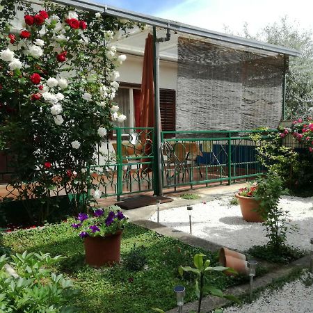 Vile Park Apartments Poreč Eksteriør billede