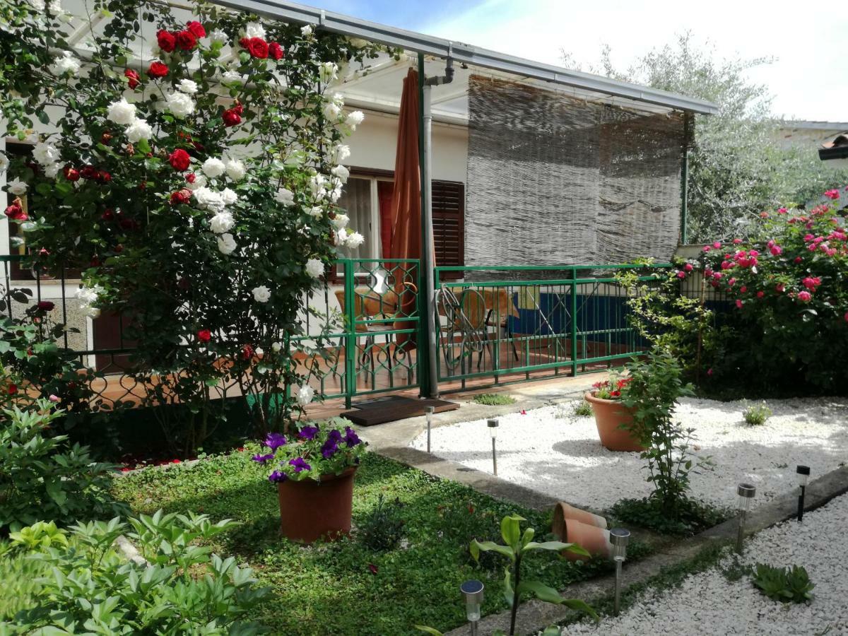 Vile Park Apartments Poreč Eksteriør billede